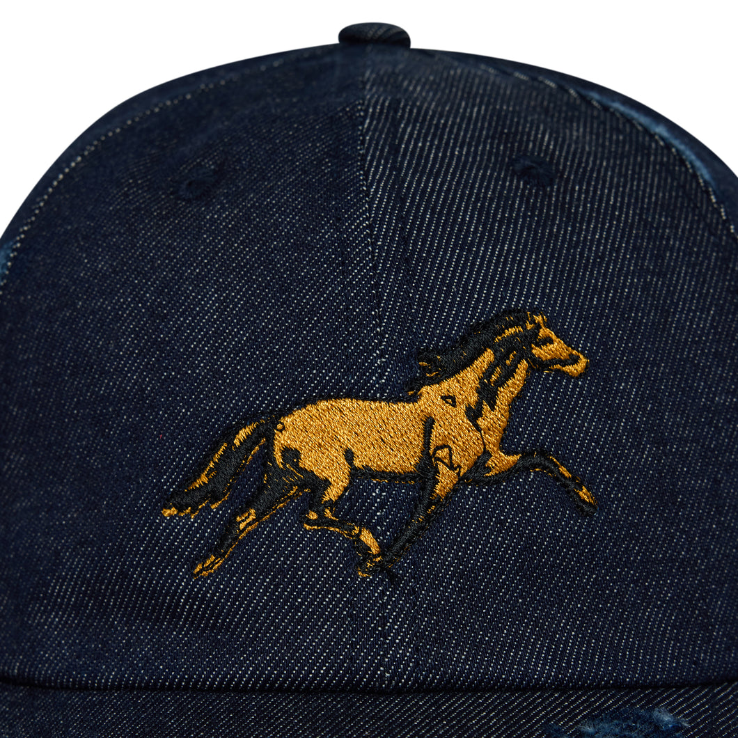 Denim Dad Hat