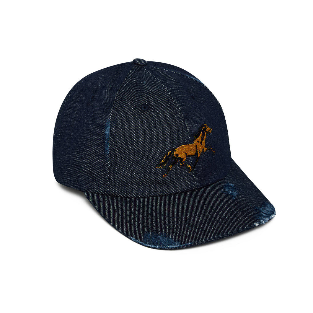 Denim Dad Hat